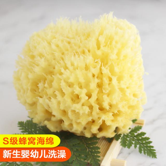 希腊天然海绵蜂窝海绵S级4.0英寸