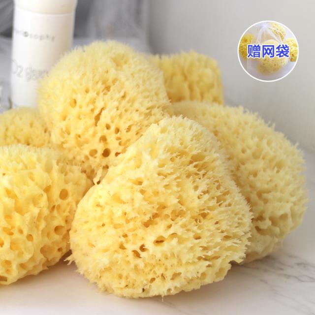 希腊天然海绵蜂窝海绵S级4.0英寸